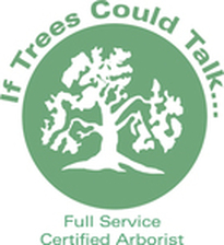 Certified Arborist Tarpon Springs, Tarpon Springs Certified Arborist, Tree Service Tarpon Springs, Tarpon Springs Tree Service