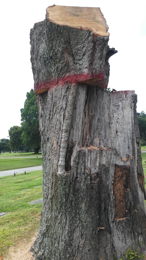 Tree Removal, Tree Carving