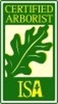 ISA Certified Arborist, Tree Service Safety Harbor, Safety Harbor Tree Service,